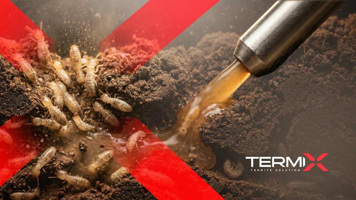 Pest-Go Exterminating Services