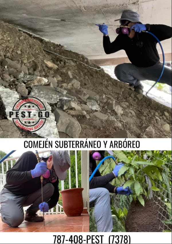 Pest-Go Exterminating Services
